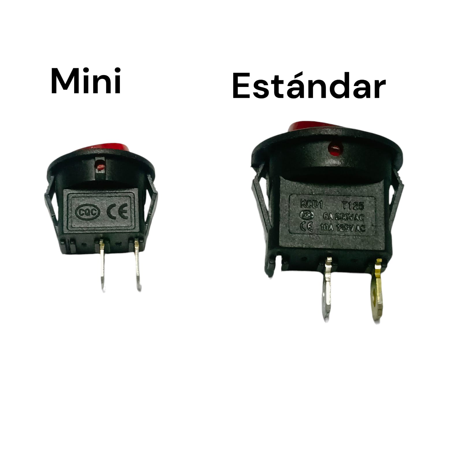 Imagen de WhatsApp 2025-08-21 a las 19.03.57_7ca16b0a